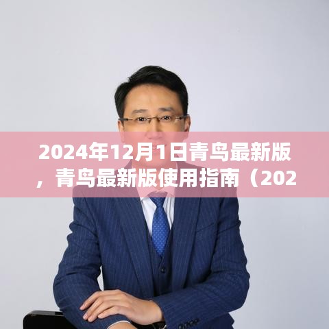 青鸟最新版使用指南（2024年12月版），初学者与进阶用户指南共鉴