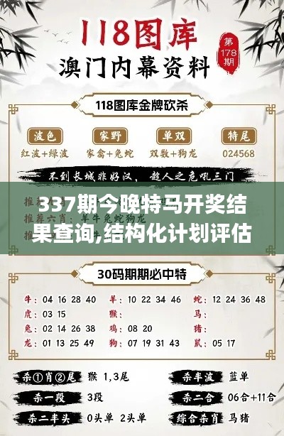 337期今晚特马开奖结果查询,结构化计划评估_AR版52.407-4