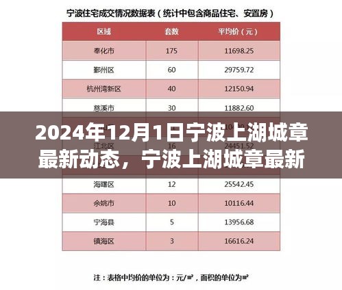 2024年宁波上湖城章最新动态揭秘，关键步骤助你轻松掌握最新消息