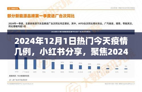 小红书分享，聚焦2024年12月1日疫情最新动态及今日疫情数据报告