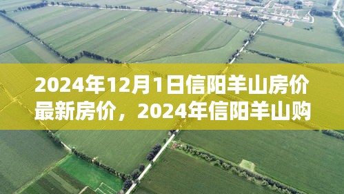 2024年信阳羊山房价最新动态与购房指南，全流程解析助你轻松置业