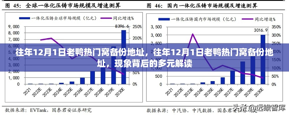 往年12月1日老鸭热门窝备份地址现象背后的多元解读分析