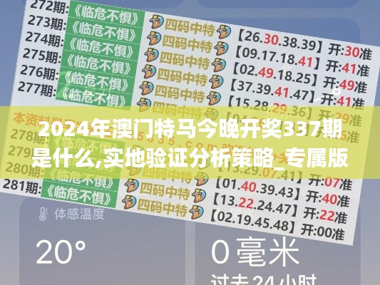 2024年澳门特马今晚开奖337期是什么,实地验证分析策略_专属版21.444-9