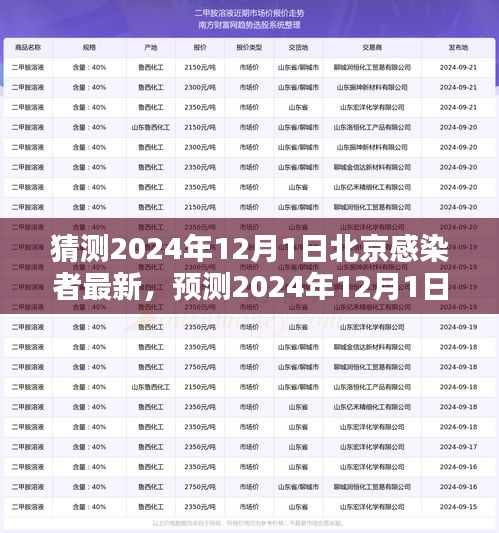 2024年12月1日北京感染者预测与应对策略，未来趋势分析及最新情况分析