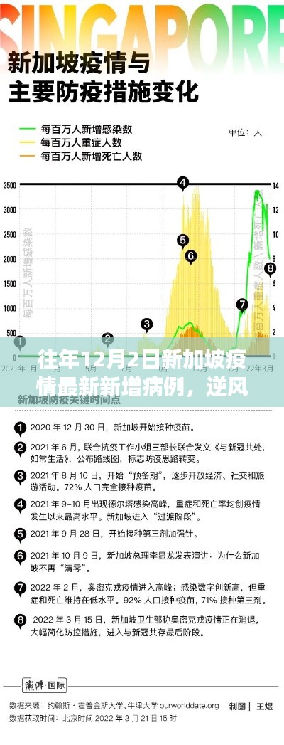 新加坡疫情下的励志篇章，逆风砥柱，学习变化的力量与自信之路——历年12月2日最新数据回顾