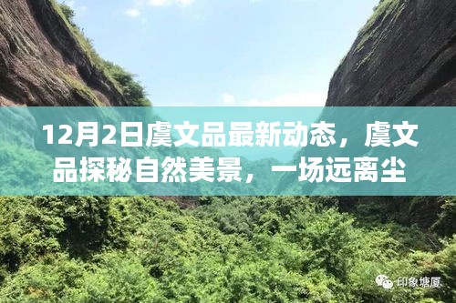 虞文品探秘自然美景，心灵之旅的最新动态（12月2日）