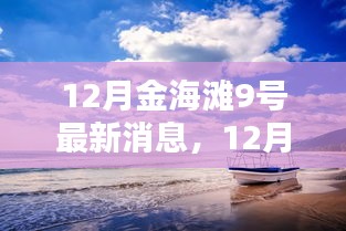 12月金海滩9号最新动态与指南，任务完成与技能学习全解析