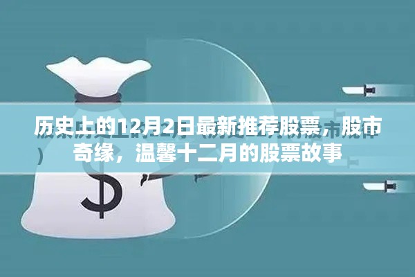 温馨十二月，股市奇缘与最新推荐股票故事回顾