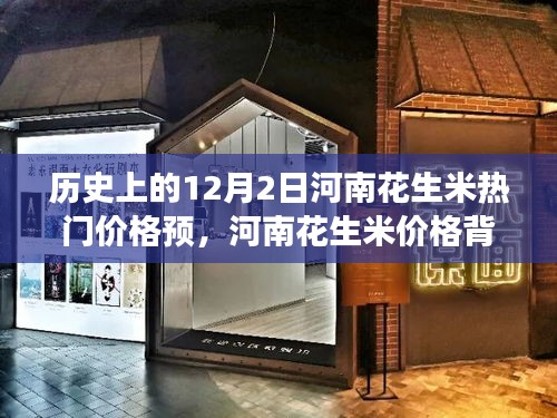 河南花生米价格背后的故事，友情与陪伴的冬日奇遇在12月2日揭晓的热门预测