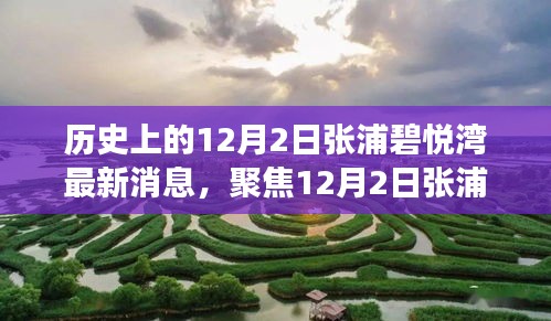 聚焦张浦碧悦湾最新动态，深度解读12月2日新消息及其影响