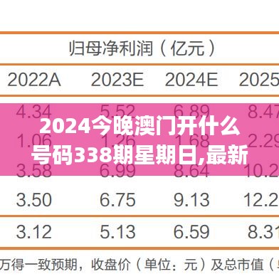 2024今晚澳门开什么号码338期星期日,最新答案解释落实_尊享款53.666-2