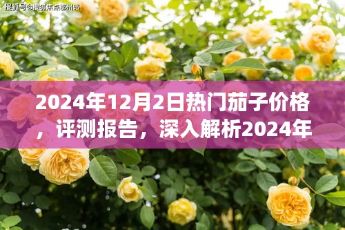 2024年热门茄子价格深度解析与评测报告