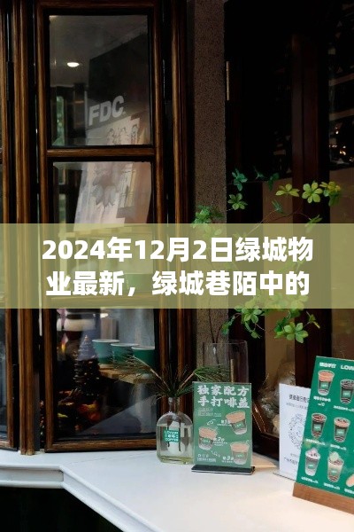 绿城物业新探秘，巷陌宝藏与小众特色小店揭秘（2024年12月）