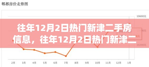 往年12月2日新津二手房市场深度解析，热门房源、市场走势与个人选择探讨