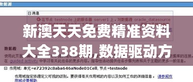 新澳天天免费精准资料大全338期,数据驱动方案实施_GT35.758-5