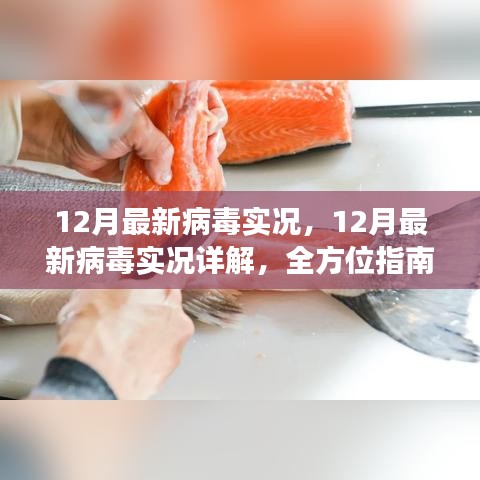 全方位指南，12月病毒威胁详解与防范应对策略