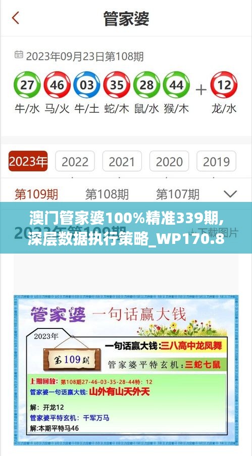 澳门管家婆100%精准339期,深层数据执行策略_WP170.884-2