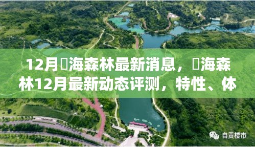 燊海森林12月最新动态评测，特性、体验、对比及用户群体深度分析