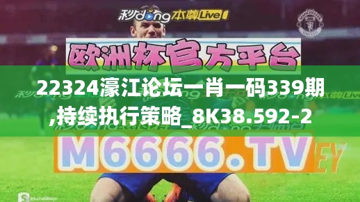 22324濠江论坛一肖一码339期,持续执行策略_8K38.592-2