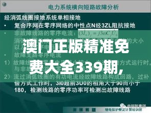 澳门正版精准免费大全339期,高效方法解析_定制版24.747-5