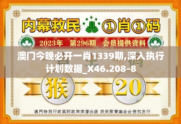 澳门今晚必开一肖1339期,深入执行计划数据_X46.208-8