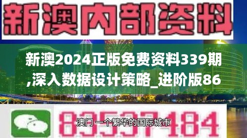 新澳2024正版免费资料339期,深入数据设计策略_进阶版86.976-6