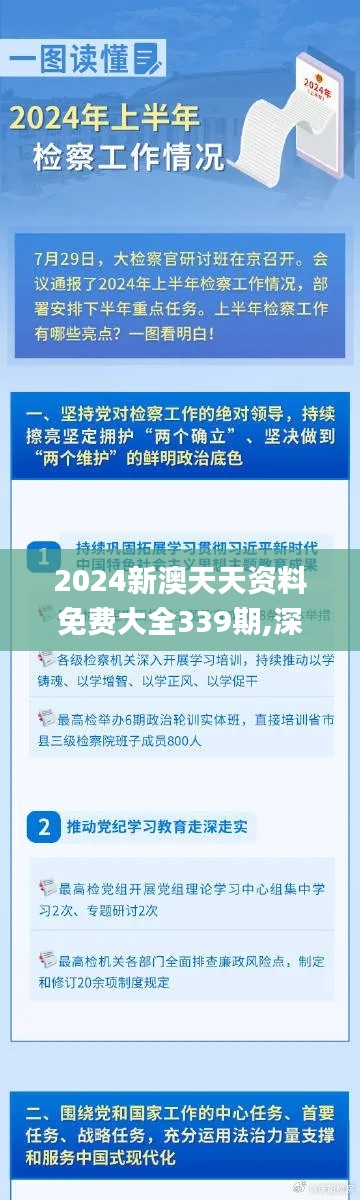 2024新澳天天资料免费大全339期,深层计划数据实施_优选版19.584-7