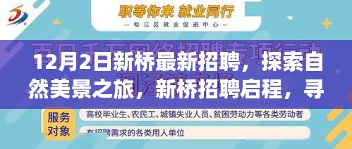 新桥招聘启程，探索自然美景之旅，寻找内心的宁静与平和