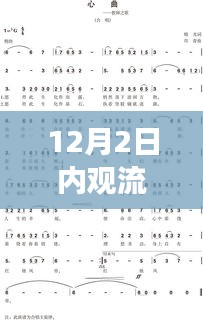 温馨日常故事与内观流心曲，最新歌曲发布