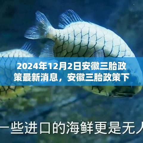 安徽三胎政策下的科技育儿革新，全新智能母婴管理系统诞生与体验纪实（最新消息）