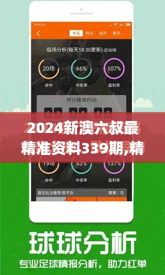 2024新澳六叔最精准资料339期,精细化说明解析_复古款47.824-9