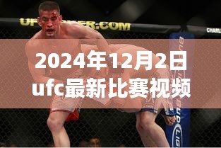 揭秘小巷深处的格斗盛宴，UFC最新比赛视频与美食天堂的双重体验（2024年12月2日）