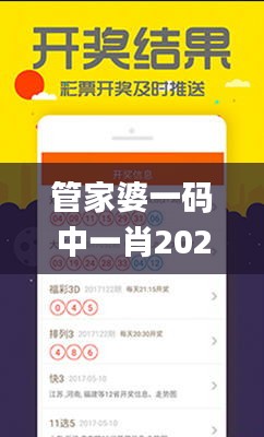 管家婆一码中一肖2024第339期,深入数据策略解析_Windows35.846-9