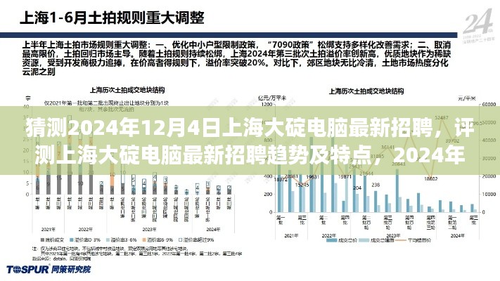 2024年12月4日上海大碇电脑最新招聘趋势洞察与特点分析