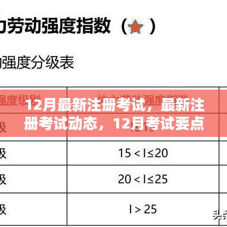 2024年12月4日 第9页