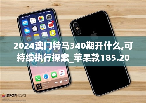 2024澳门特马340期开什么,可持续执行探索_苹果款185.200-2