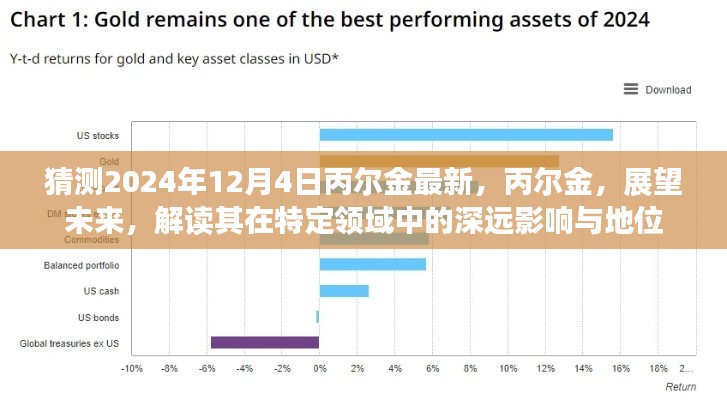 丙尔金未来展望，解读其在特定领域深远影响与地位的最新预测（至2024年12月4日）