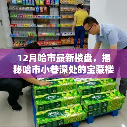 揭秘哈尔滨最新楼盘与小巷宝藏，特色楼盘与小店独特魅力探秘