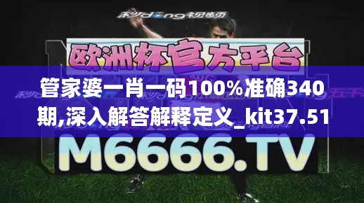 管家婆一肖一码100%准确340期,深入解答解释定义_kit37.513-4