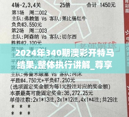 2024年340期澳彩开特马结果,整体执行讲解_尊享款52.393-4