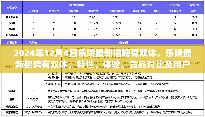 乐陵最新招聘特性解读，双休工作体验与竞品对比分析（XXXX年全新解读）