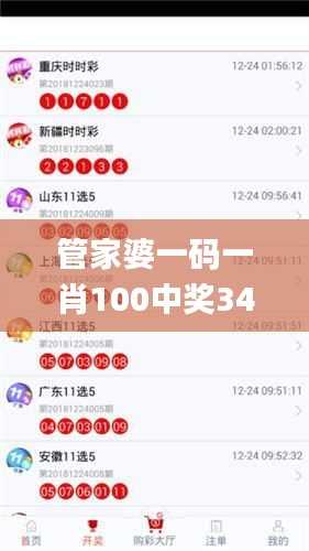 管家婆一码一肖100中奖340期,数据引导策略解析_WP版41.718-6