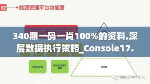 340期一码一肖100%的资料,深层数据执行策略_Console17.528-8