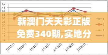 新澳门天天彩正版免费340期,实地分析数据设计_L版38.696-3