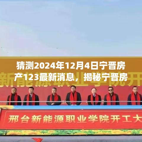 揭秘宁晋房产市场，最新动态预测与独家解读（2024年12月4日）