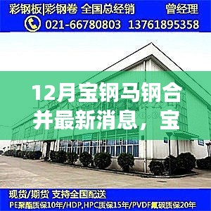 宝钢马钢合并最新进展，携手共进，冬日传递温情与陪伴