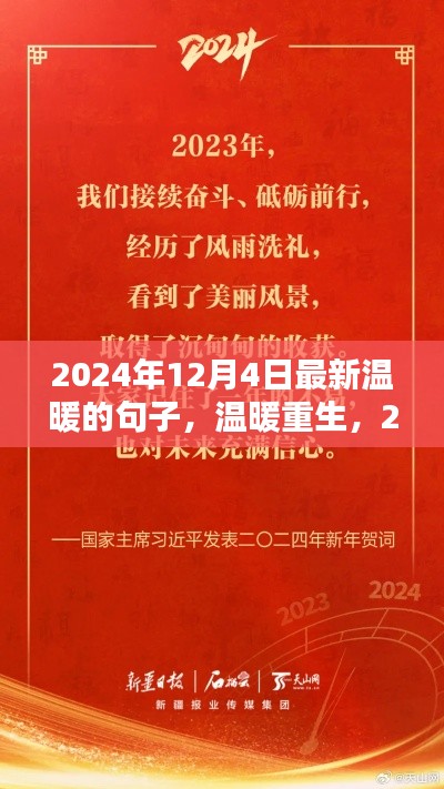 温暖重生，2024年12月4日的语言之光与情感暖流