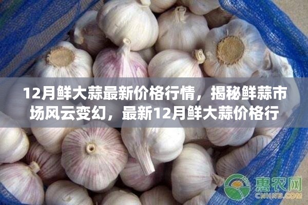 揭秘最新鲜大蒜行情，12月鲜大蒜价格解析与市场风云变幻