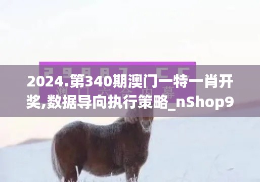 2024.第340期澳门一特一肖开奖,数据导向执行策略_nShop9.428