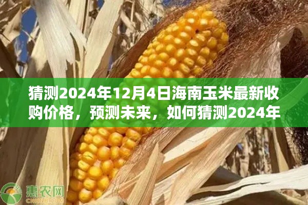 揭秘未来，海南玉米最新收购价格预测报告（至2024年12月4日）